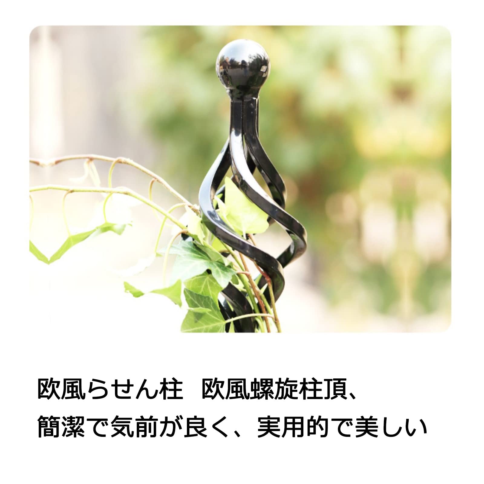 Amazon.co.jp: 植物サポートフレーム 植物支柱 鉄製 鉢植え フラワー